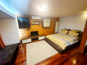 Carlova Studio